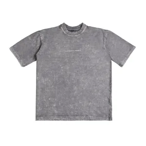 Platinum Washed Out Oversized T-shirt